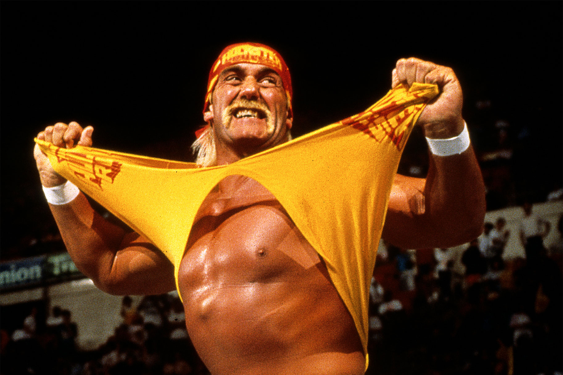 wwe-hulk-hogan-bret-hart4.jpg